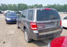 2010 FORD ESCAPE XLT