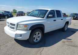 2007 DODGE DAKOTA QUAD SLT