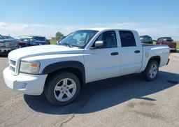 2007 DODGE DAKOTA QUAD SLT