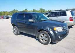 2009 FORD ESCAPE XLT AUTOMATIC