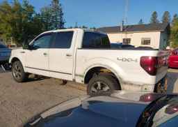 2010 FORD F-150 FX4