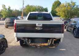 2010 FORD F-150 FX4