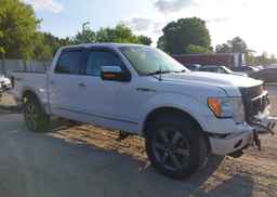 2010 FORD F-150 FX4