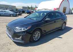 2019 HYUNDAI SONATA ESSENTIAL