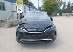 2024 TOYOTA VENZA