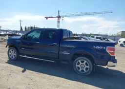 2013 FORD F-150 LARIAT