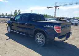 2013 FORD F-150 LARIAT