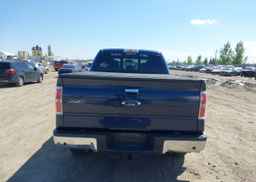 2013 FORD F-150 LARIAT