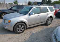 2010 FORD ESCAPE
