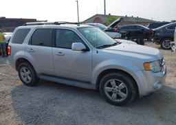 2010 FORD ESCAPE