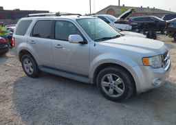 2010 FORD ESCAPE