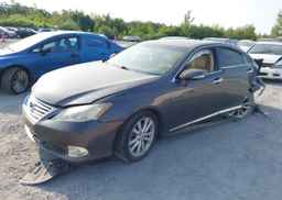 2010 LEXUS ES350