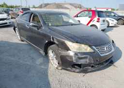 2010 LEXUS ES350