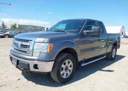 2013 FORD F-150 XLT