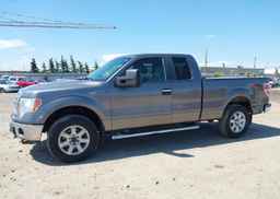 2013 FORD F-150 XLT