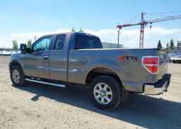 2013 FORD F-150 XLT