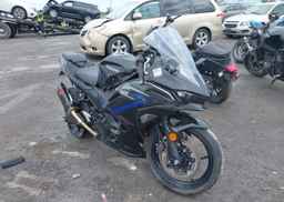 2025 KAWASAKI EX500 A