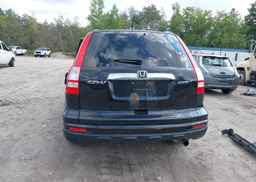 2010 HONDA CR-V