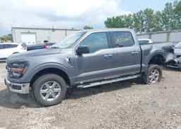 2025 FORD F150 XLT