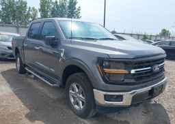 2025 FORD F150 XLT