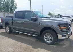2025 FORD F150 XLT