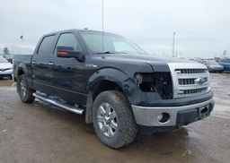2014 FORD F-150 XLT
