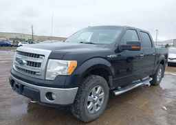 2014 FORD F-150 XLT