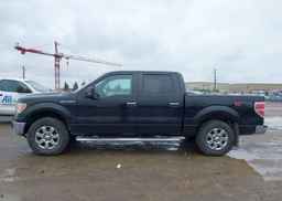 2014 FORD F-150 XLT