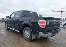2014 FORD F-150 XLT