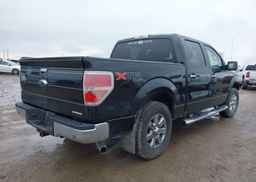 2014 FORD F-150 XLT
