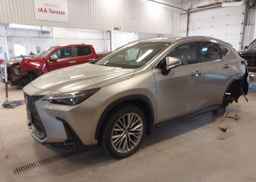 2024 LEXUS NX 350 PREMIUM