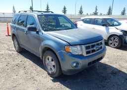 2010 FORD ESCAPE XLT