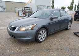 2009 HONDA ACCORD EX-L