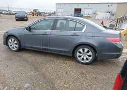 2009 HONDA ACCORD EX-L