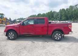 2010 FORD F-150 XLT