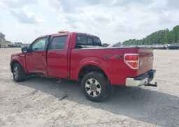2010 FORD F-150 XLT