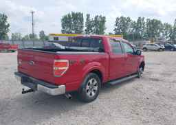 2010 FORD F-150 XLT