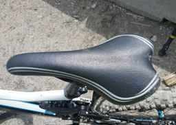 2013 GIANT GLORY BIKE