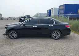 2011 HONDA ACCORD EXL