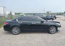 2011 HONDA ACCORD EXL