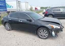 2011 HONDA ACCORD EXL