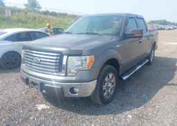 2011 FORD F150 SUPERCREW