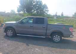 2011 FORD F150 SUPERCREW