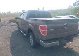 2011 FORD F150 SUPERCREW