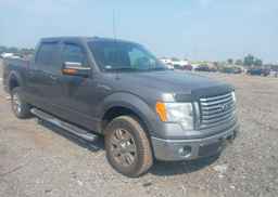 2011 FORD F150 SUPERCREW