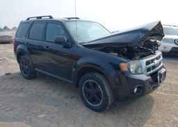 2012 FORD ESCAPE XLT