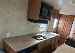 2012 FOREST RIVER PALOMINO