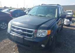 2010 FORD ESCAPE XLT