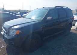 2010 FORD ESCAPE XLT