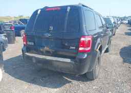 2010 FORD ESCAPE XLT